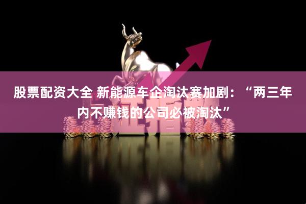 股票配资大全 新能源车企淘汰赛加剧：“两三年内不赚钱的公司必被淘汰”