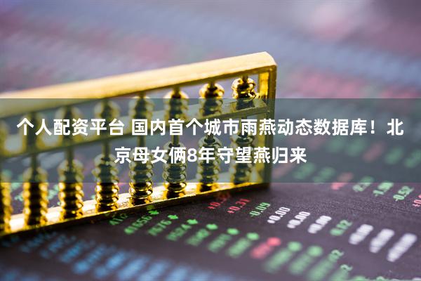 个人配资平台 国内首个城市雨燕动态数据库！北京母女俩8年守望燕归来