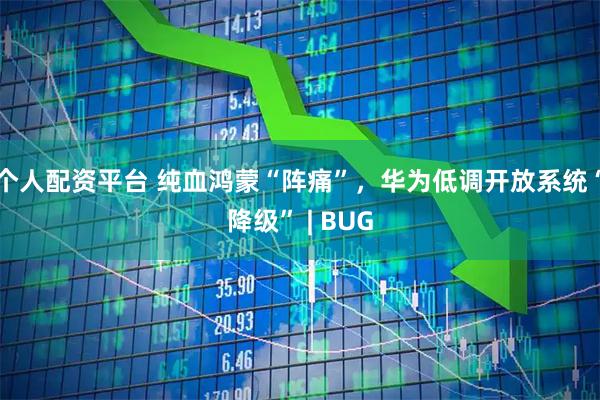 个人配资平台 纯血鸿蒙“阵痛”，华为低调开放系统“降级” | BUG